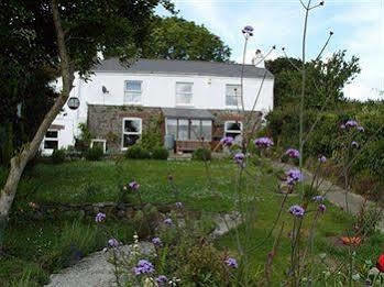 Vine Cottage B&B Devizes Zewnętrze zdjęcie